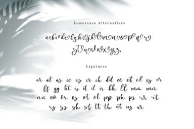 Swally Font by dmletter31 — Script Handwritten Font — thumbnail 7