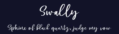 Swally by DM Letter Studio - Dimas Prasetyo — Script Handwritten Font — thumbnail 2