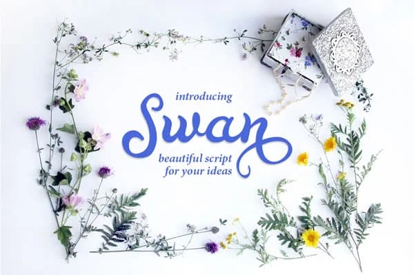 Swan Font by Etewut — Script Handwritten Font