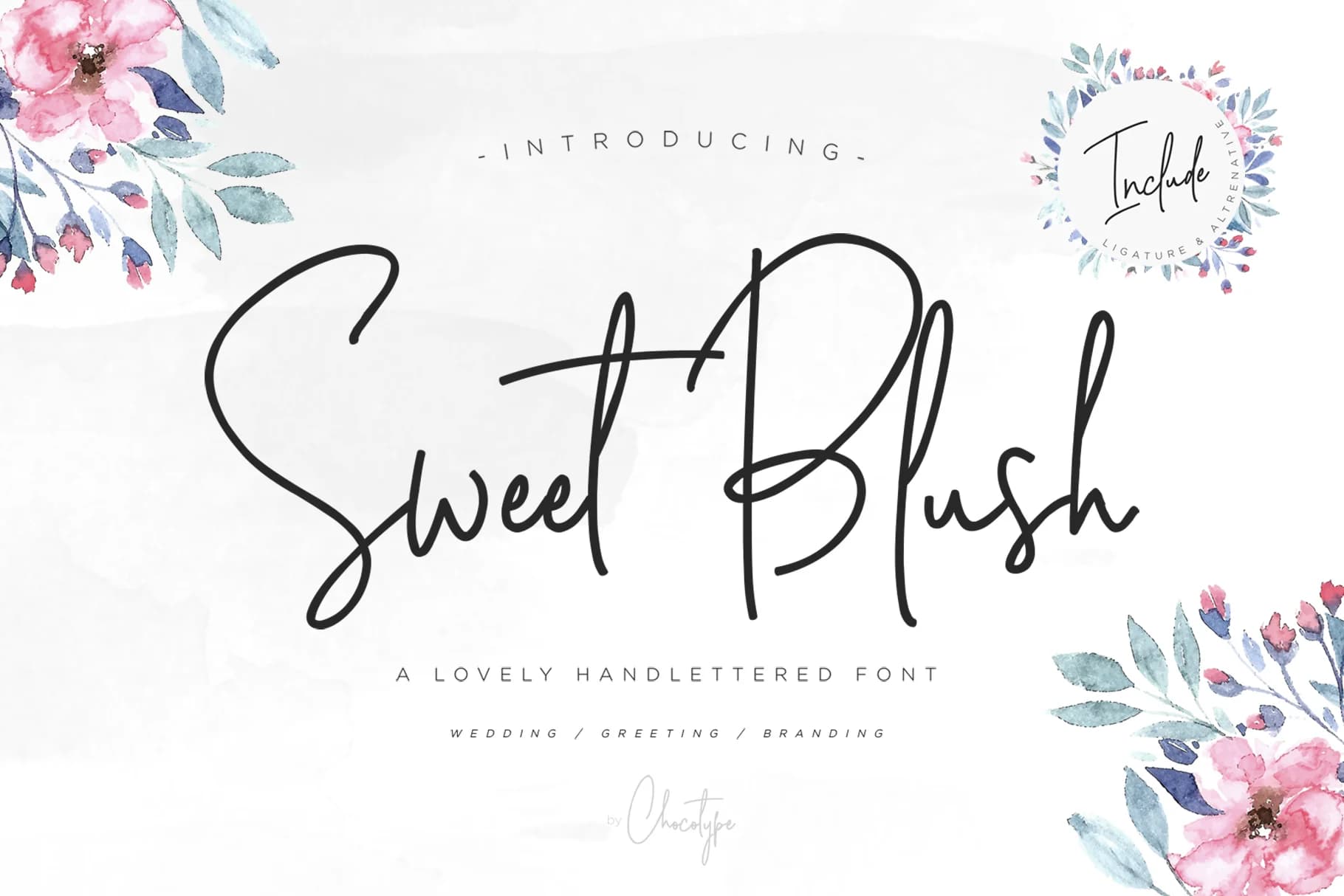Sweet Blush Font by Chocotype — Script Handwritten Font