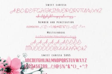 Sweet Carissa Font by Mas Anis — Script Handwritten Font — thumbnail 4
