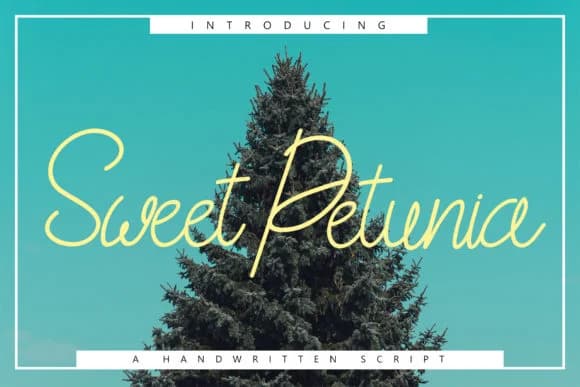 Sweet Petunia Font by Rustype — Script Handwritten Font
