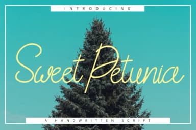 Sweet Petunia Font by Rustype — Script Handwritten Font — thumbnail 1