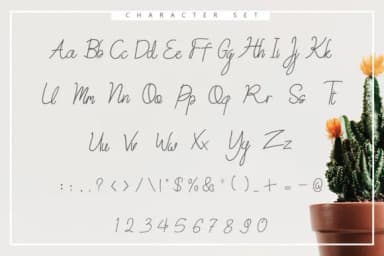 Sweet Petunia Font by Rustype — Script Handwritten Font — thumbnail 2