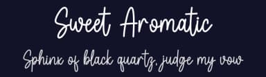 Sweet Aromatic by DN Creative — Script Handwritten Font — thumbnail 2