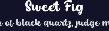 Sweet Fig by Din Studio — Script Handwritten Font — thumbnail 2