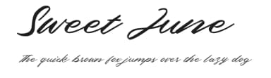 Sweet June by Typefactoryco — Script Handwritten Font — thumbnail 1