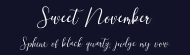 Sweet November by Erik Studio — Script Handwritten Font — thumbnail 2