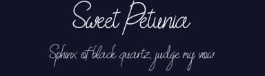Sweet Petunia by Rifky Naufaldy — Script Handwritten Font — thumbnail 2