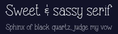 Sweet & sassy serif by Vanessa Bays — Script Handwritten Font — thumbnail 2