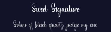 Sweet Signature by PiPi Creative STUDIO — Script Handwritten Font — thumbnail 2