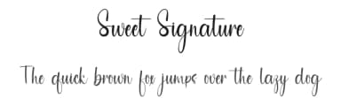 Sweet Signature by PiPi Creative STUDIO — Script Handwritten Font — thumbnail 1