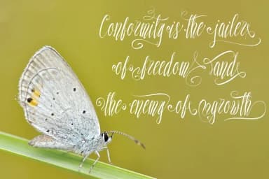 Sweeter Than Candy Font by Royaltype — Script Handwritten Font — thumbnail 2