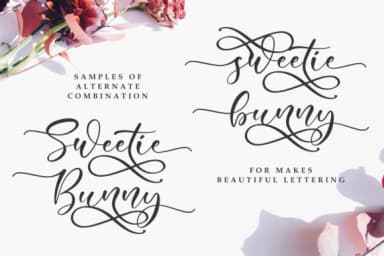 Sweetie Bunny Font by R. Studio — Script Handwritten Font — thumbnail 2