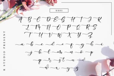 Sweetie Bunny Font by R. Studio — Script Handwritten Font — thumbnail 6