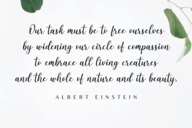 Sweetrough Font by Sibelumpagi Studio — Script Handwritten Font — thumbnail 4