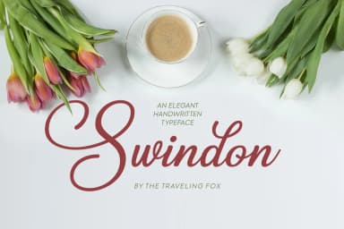 Swindon Font by The Traveling Fox — Script Handwritten Font — thumbnail 4