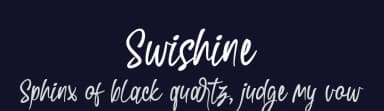 Swishine by DumadiStyle — Script Handwritten Font — thumbnail 2