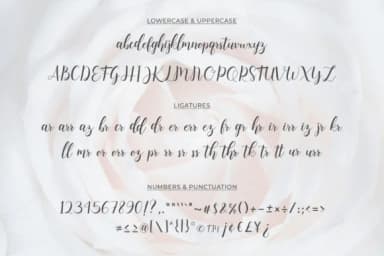 Syahilla Script Font by collectypestudio — Script Handwritten Font — thumbnail 5