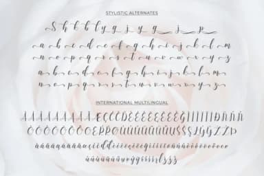 Syahilla Script Font by collectypestudio — Script Handwritten Font — thumbnail 6