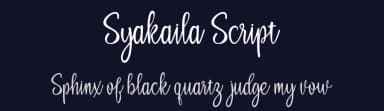 Syakaila Script by bijeh.studio — Script Handwritten Font — thumbnail 2