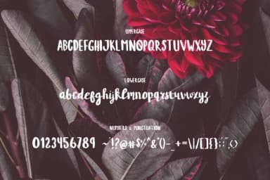 Syakina Font by Wowok Prast — Script Handwritten Font — thumbnail 7