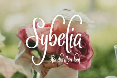 Sybelia Font by Digital Typeface Studio — Script Handwritten Font — thumbnail 1