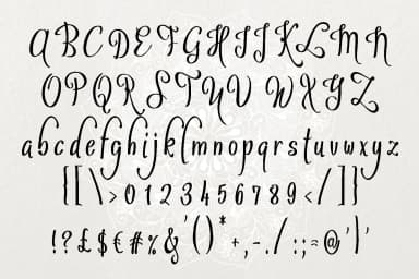 Sybelia Font by Digital Typeface Studio — Script Handwritten Font — thumbnail 2