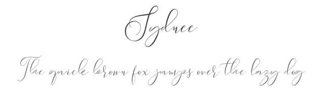 Sydnee by aqr typeface — Script Handwritten Font