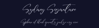Sydney Signature by Staircase Studio — Script Handwritten Font — thumbnail 2
