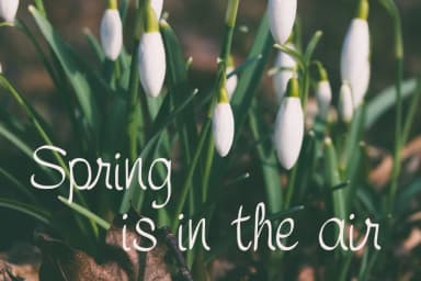 Symca Font by Digital Typeface Studio — Script Handwritten Font — thumbnail 3