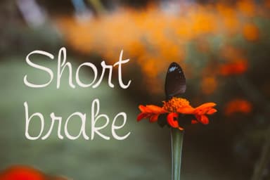 Symca Font by Digital Typeface Studio — Script Handwritten Font — thumbnail 4