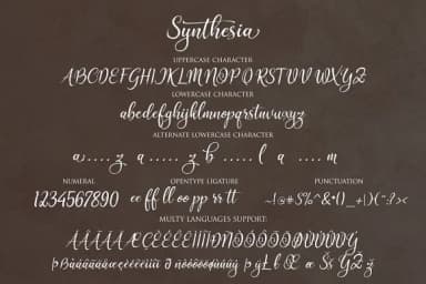 Synthesia Font by Byuly Ayika — Script Handwritten Font — thumbnail 2