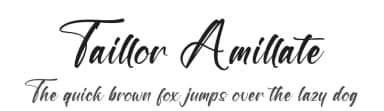 Taillor Amillate by Letterena Studios — Script Handwritten Font — thumbnail 1