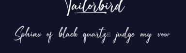 Tailorbird by VinType — Script Handwritten Font — thumbnail 2