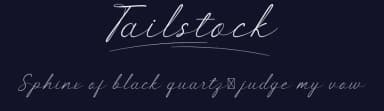 Tailstock by Noah Type — Script Handwritten Font — thumbnail 2