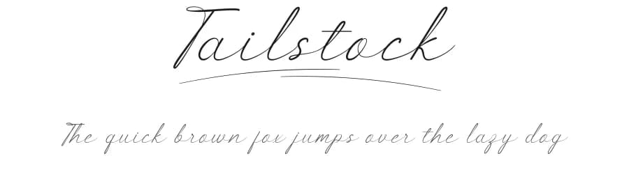Tailstock by Noah Type — Script Handwritten Font