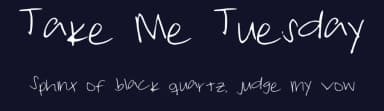 Take Me Tuesday by Freya J. — Script Handwritten Font — thumbnail 2