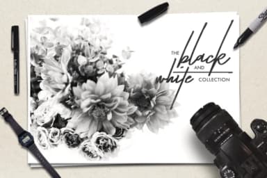 Taken by Vultures Font by thebrandedquotes — Script Handwritten Font — thumbnail 3