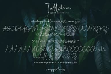 Tallitha Font by alphArt — Script Handwritten Font — thumbnail 9