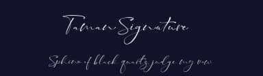 Taman Signature by Gilar Studio — Script Handwritten Font — thumbnail 2