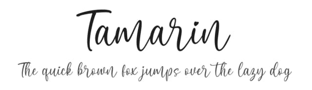 Tamarin by Revo Farisky — Script Handwritten Font