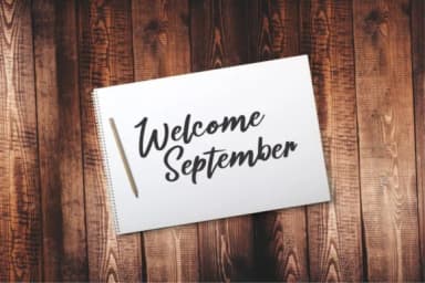 Tamiela Font by Eldertype Studio — Script Handwritten Font — thumbnail 5