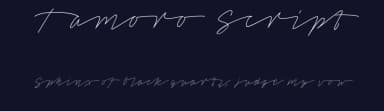 Tamoro Script by Måns Grebäck — Script Handwritten Font — thumbnail 2
