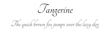 Tangerine by Toshi Omagari — Script Handwritten Font — thumbnail 1