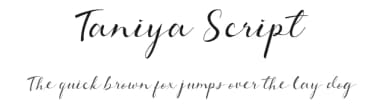 Taniya Script by Agung Triyanto — Script Handwritten Font — thumbnail 1