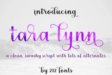 Tara Lynn Font by 212 Fonts — Script Handwritten Font — thumbnail 1