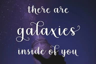 Tara Lynn Font by 212 Fonts — Script Handwritten Font — thumbnail 4