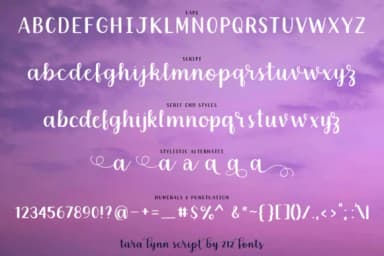 Tara Lynn Font by 212 Fonts — Script Handwritten Font — thumbnail 5