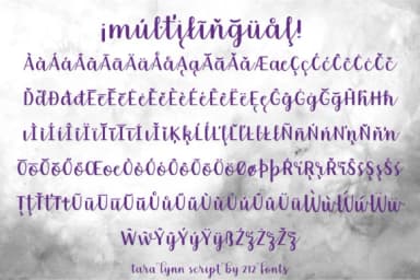 Tara Lynn Font by 212 Fonts — Script Handwritten Font — thumbnail 6